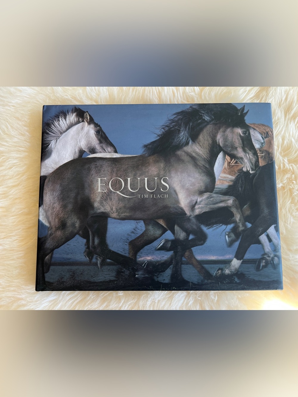 EQUUS - Tim Flach. Beautiful large coffee table book - Horse lovers